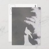 Carte Postale Silhouette Jay de Steller (Devant / Derrière)