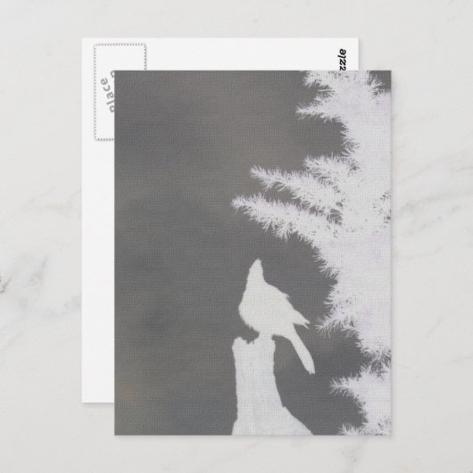 Carte Postale Silhouette Jay de Steller (Devant / Derrière)