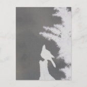 Carte Postale Silhouette Jay de Steller (Devant)