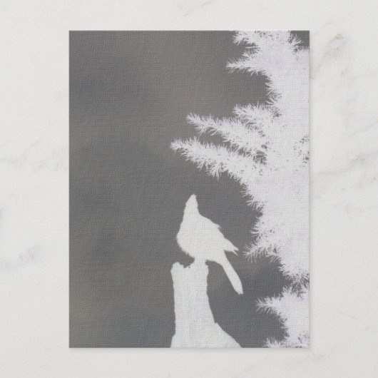 Carte Postale Silhouette Jay de Steller (Devant)