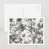 Carte Postale Silhouette noire et blanche de l'arbre (Devant / Derrière)