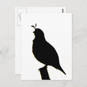 Carte postale Silhouette Quail California (Devant / Derrière)