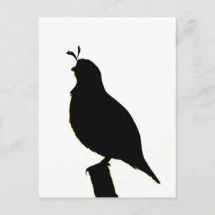 Carte postale Silhouette Quail California
