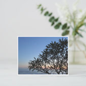 Carte Postale silhouette sereine (Debout devant)