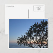 Carte Postale silhouette sereine (Devant / Derrière)