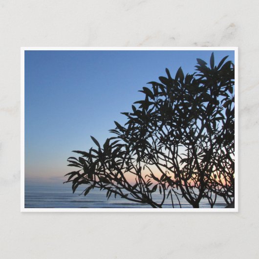 Carte Postale silhouette sereine (Devant)