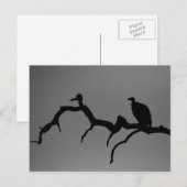 Carte Postale Silhouette vautour (Devant / Derrière)