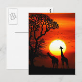 Carte Postale Silhouettes africaines de girafe de coucher du (Devant / Derrière)