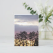 Carte Postale Silhouettes d'arbre à Dusk (Debout devant)