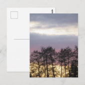 Carte Postale Silhouettes d'arbre à Dusk (Devant / Derrière)