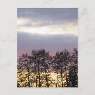 Carte Postale Silhouettes d'arbre à Dusk