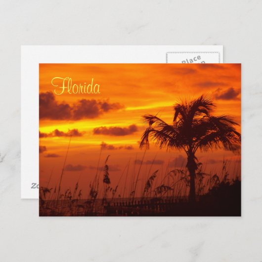 Carte Postale Silhouettes de Floride (Devant / Derrière)