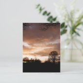 Carte Postale Silhouettes du coucher du soleil (Debout devant)