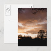 Carte Postale Silhouettes du coucher du soleil (Devant / Derrière)