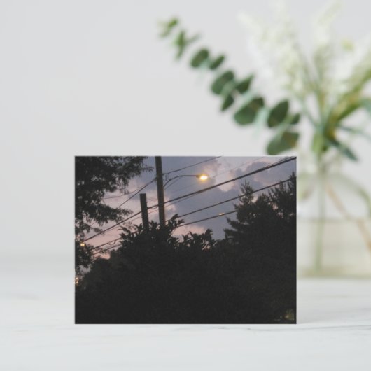 Carte Postale Silhouettes du soir (Debout devant)