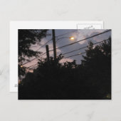 Carte Postale Silhouettes du soir (Devant / Derrière)