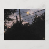 Carte Postale Silhouettes du soir (Devant)