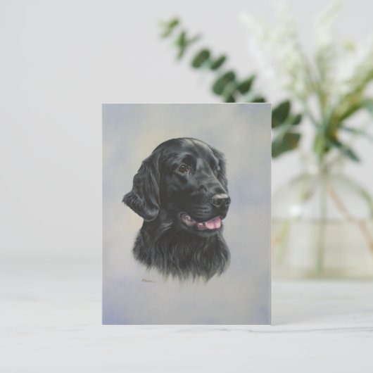 Carte Postale Silka (Debout devant)