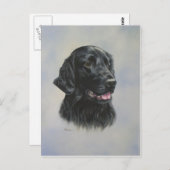 Carte Postale Silka (Devant / Derrière)