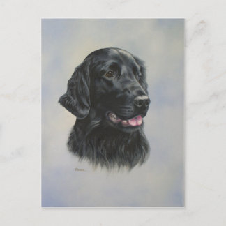 Carte Postale Silka