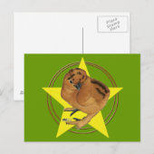 Carte Postale Silkie Red Chick Star (Devant / Derrière)