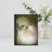 Carte Postale Silkie Rooster (Debout devant)