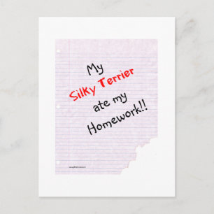 Carte Postale Silky Terrier Ate mes devoirs