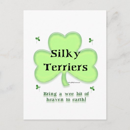 Carte Postale Silky Terrier Heaven, Saint Patrick's day Terrier (Devant)