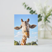 Carte Postale Silly Giraffe (Debout devant)
