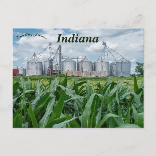 Carte Postale Silos et un champ de maïs dans l'Indiana (Devant)