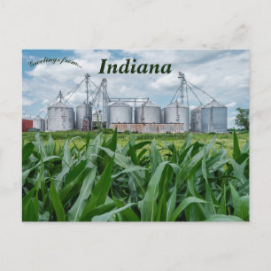 Carte Postale Silos et un Cornfield en Indiana