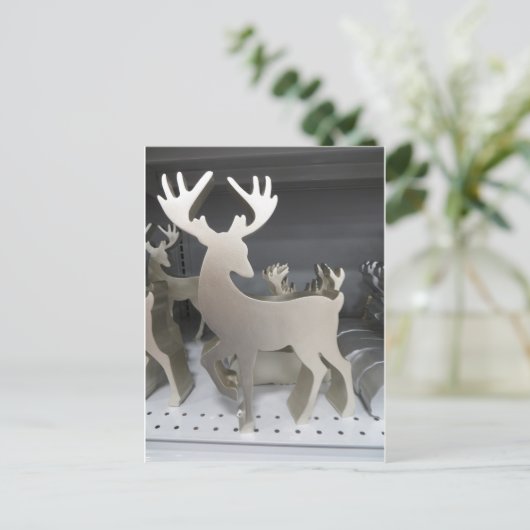 Carte Postale Silver Deer (Debout devant)