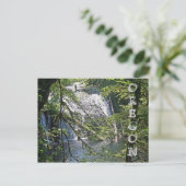 Carte Postale Silver Falls 4 (Debout devant)