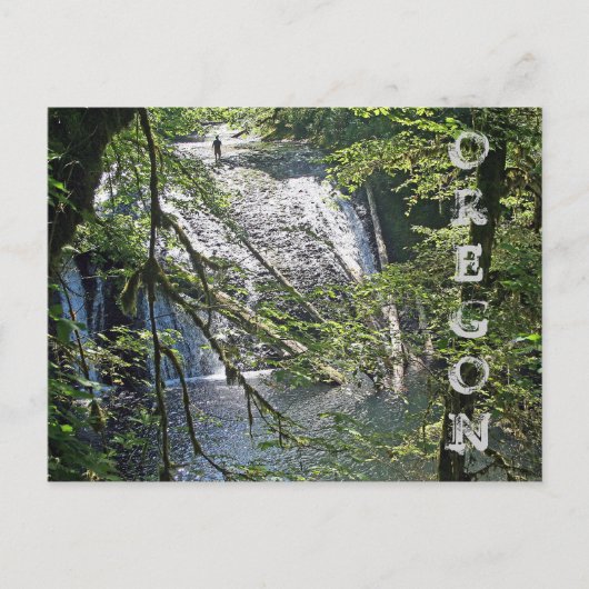 Carte Postale Silver Falls 4 (Devant)