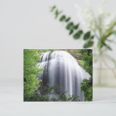 Carte Postale Silver Falls, Oregon (Debout devant)