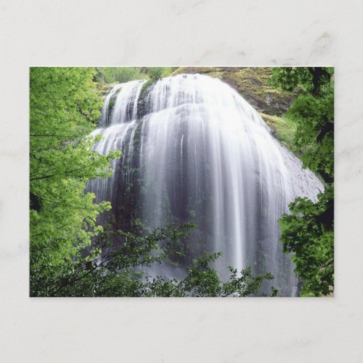 Carte Postale Silver Falls, Oregon (Devant)