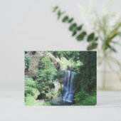 Carte postale Silver Falls State Park (Debout devant)