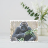 Carte Postale Silverback Gorilla (Debout devant)