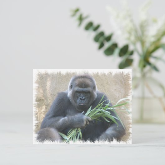 Carte Postale Silverback Gorilla (Debout devant)