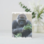 Carte postale Silverback Gorilla (Debout devant)