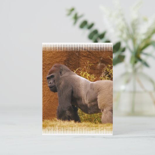 Carte postale Silverback Gorilla Photo (Debout devant)