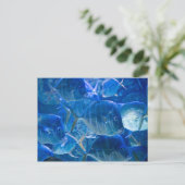 Carte postale Silvery Tropical Fish (Debout devant)