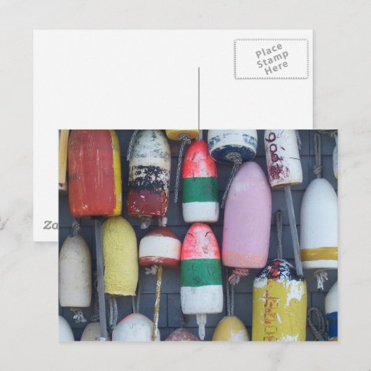 Carte Postale Similarité dans une mer de différences (Devant / Derrière)