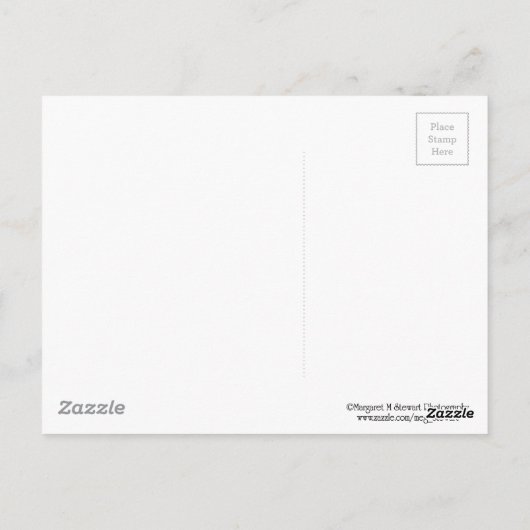 Carte Postale Simple adorable petit Chipmunk (Dos)