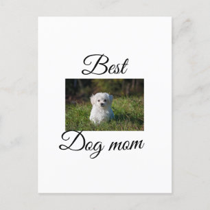 Carte Postale Simple animal coloré ajouter nom photo chien maman