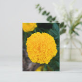 Carte postale simple jaune Marigold (Debout devant)