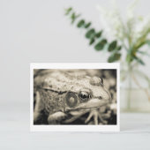 Carte Postale simple jour (Debout devant)