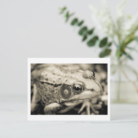 Carte Postale simple jour (Debout devant)