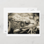 Carte Postale simple jour (Devant / Derrière)