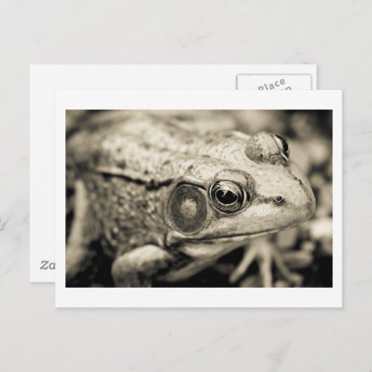 Carte Postale simple jour (Devant / Derrière)